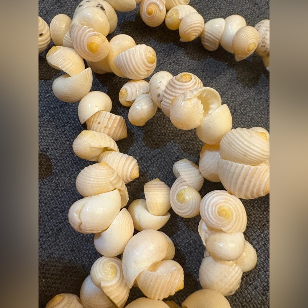 Long Cream‎ Shell Beaded Necklace. 14"
